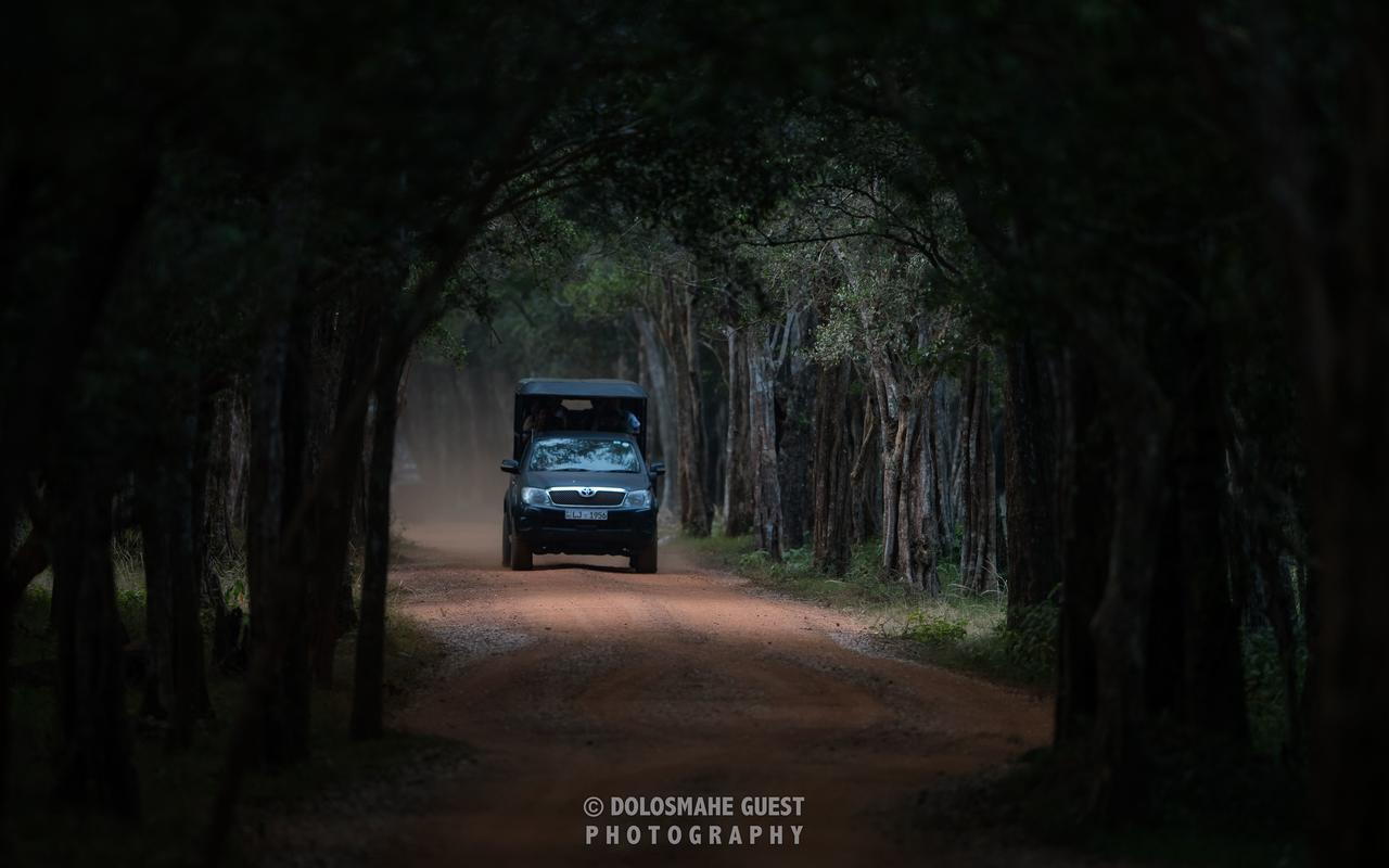 Wilpattu Dolosmahe Exterior photo